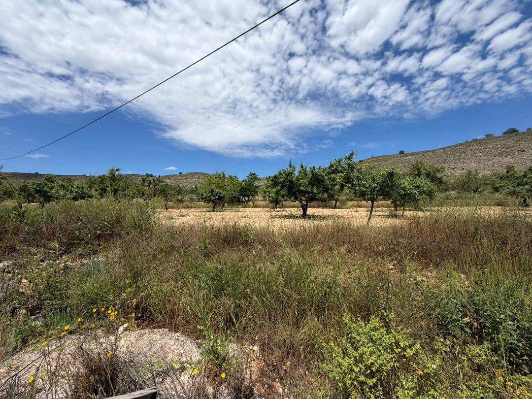 Property image 23