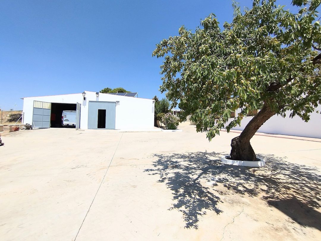 Property image 36