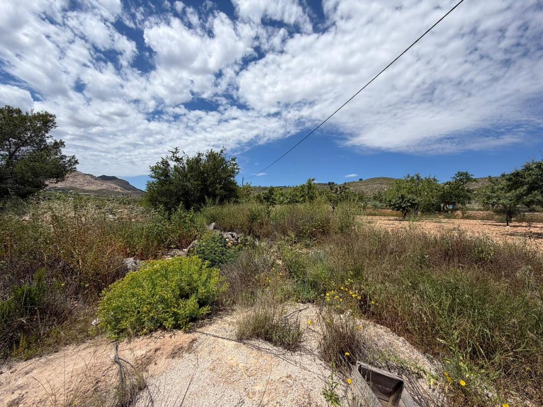Property image 33