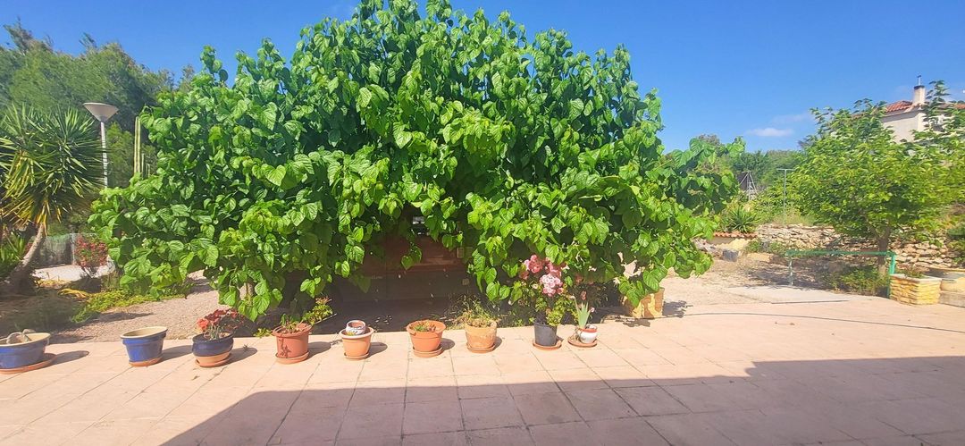 Property image 49