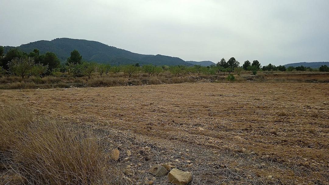 0 bedroom Land in Monovar, Costa Blanca - Property IV13739