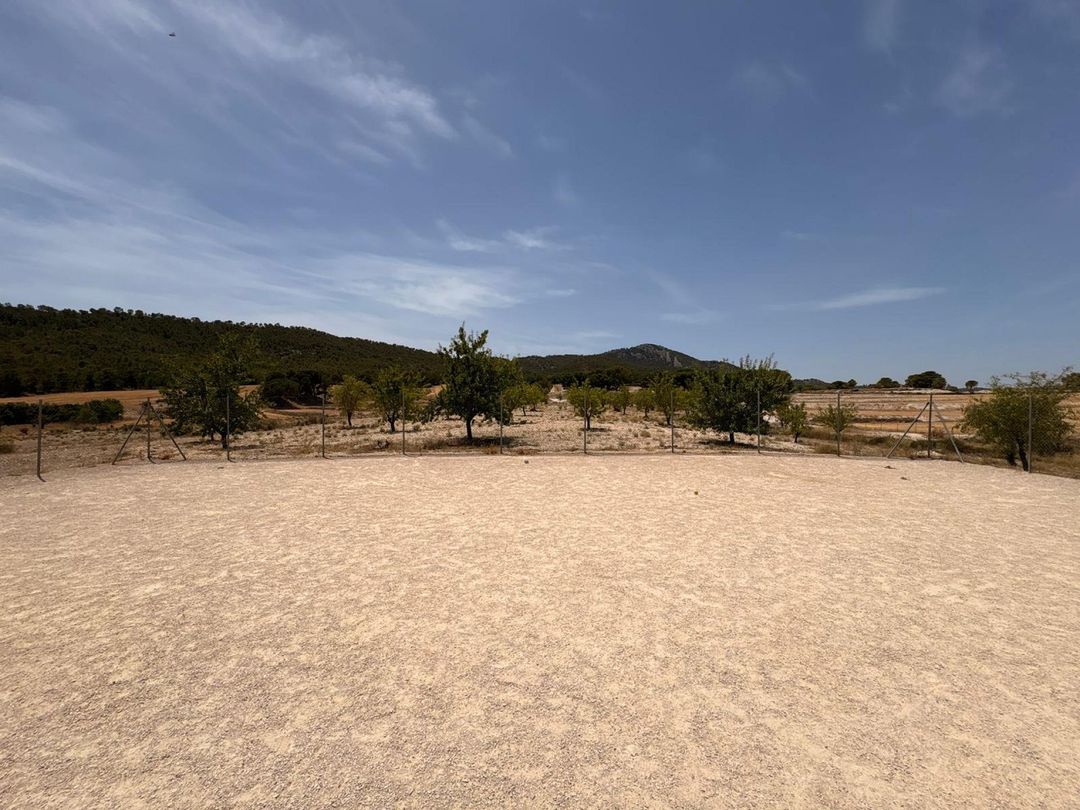 Property image 8