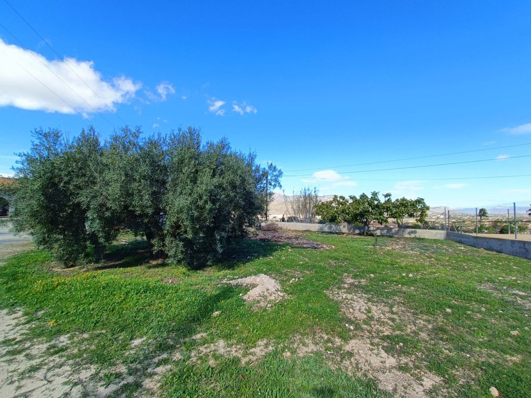 Property image 31