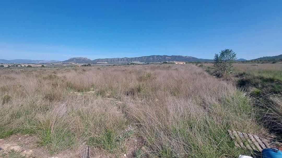 0 bedroom Land in Salinas, Costa Blanca - Property IV13681