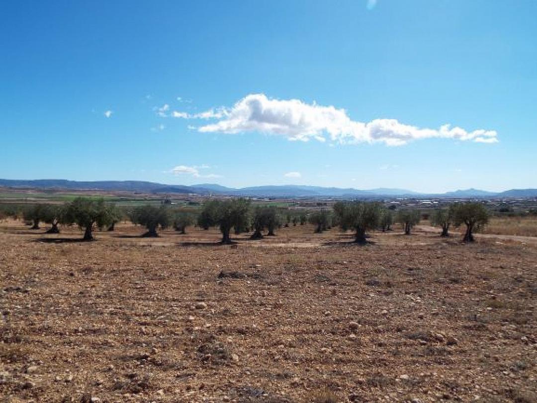0 bedroom Land in Caudete, Costa Blanca - Property IV8504