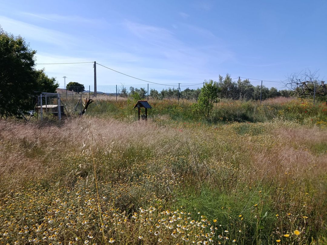 Property image 27