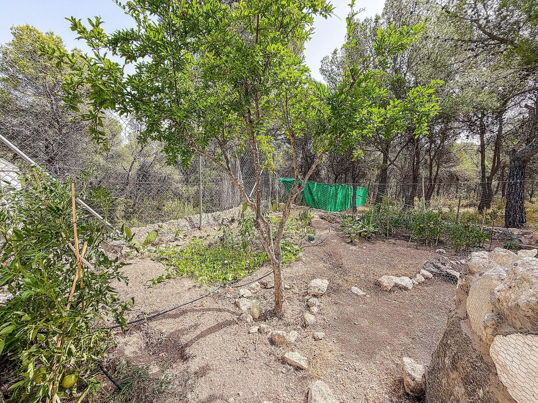 Property image 22