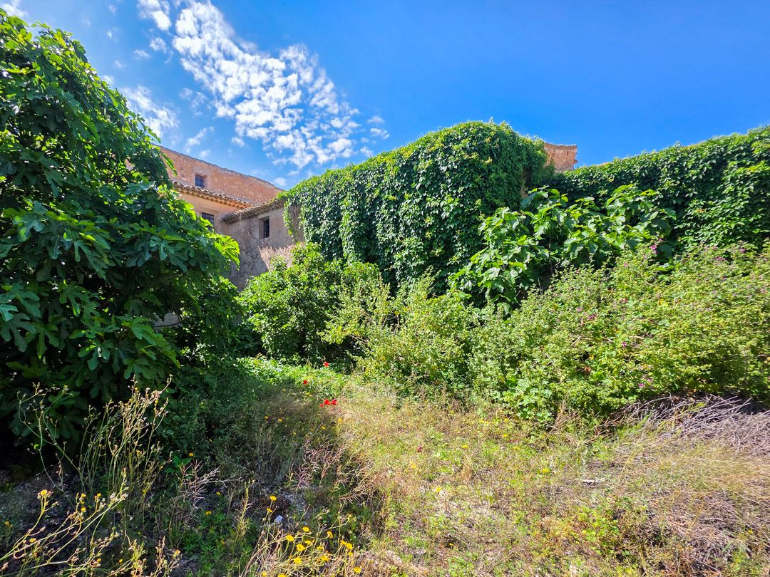 Property image 35