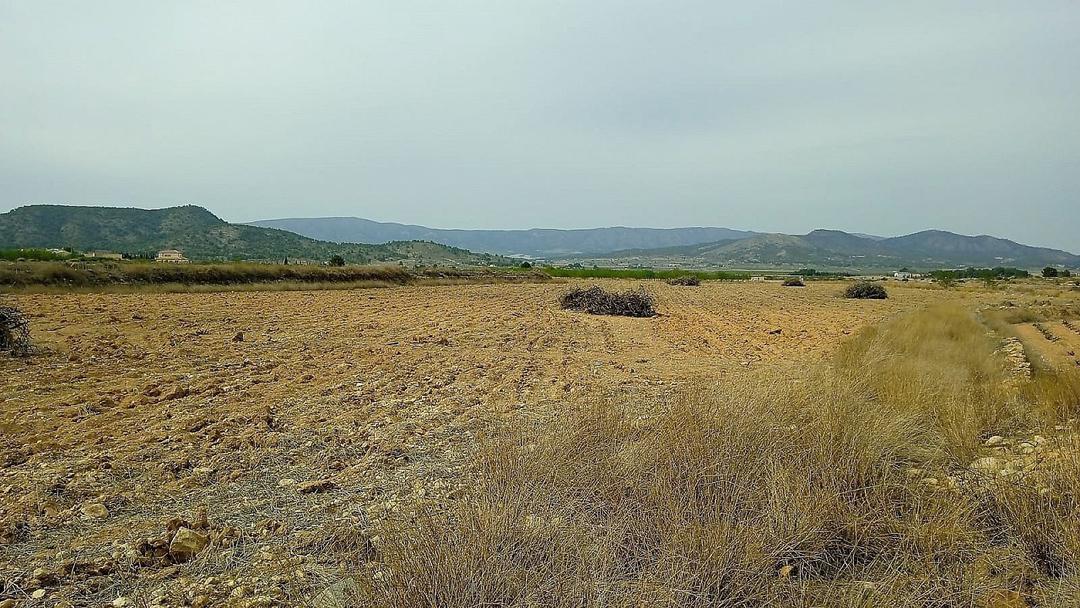 0 bedroom Land in Monovar, Costa Blanca - Property IV13739