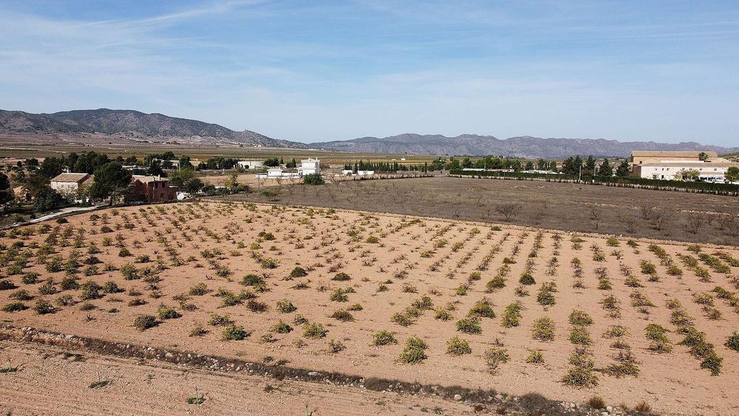 0 bedroom Land in Pinoso, Costa Blanca - Property IV2296