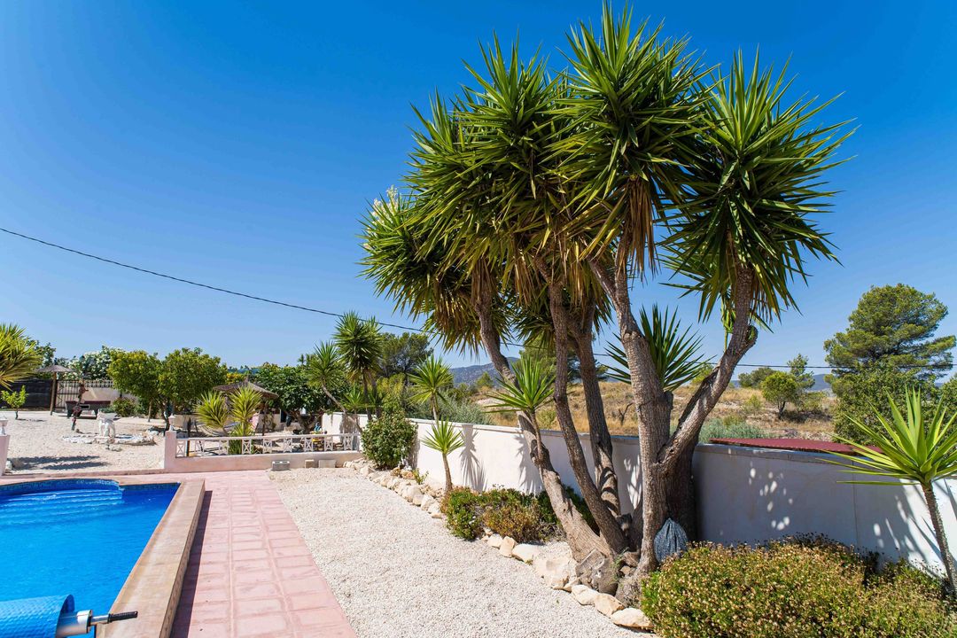 Property image 26
