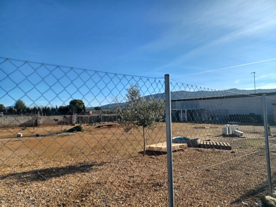 Property image 6