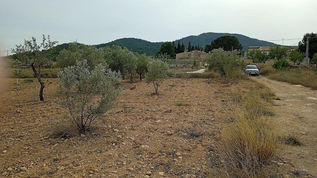 0 bedroom Land in Monovar, Costa Blanca - Property IV13740