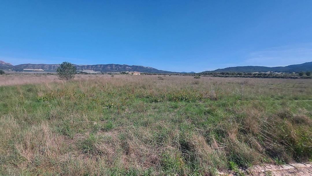 0 bedroom Land in Salinas, Costa Blanca - Property IV13681