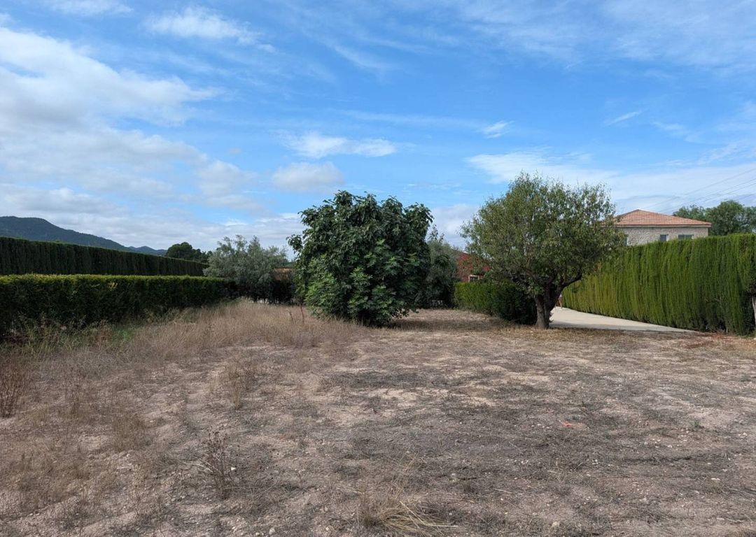 Property image 30