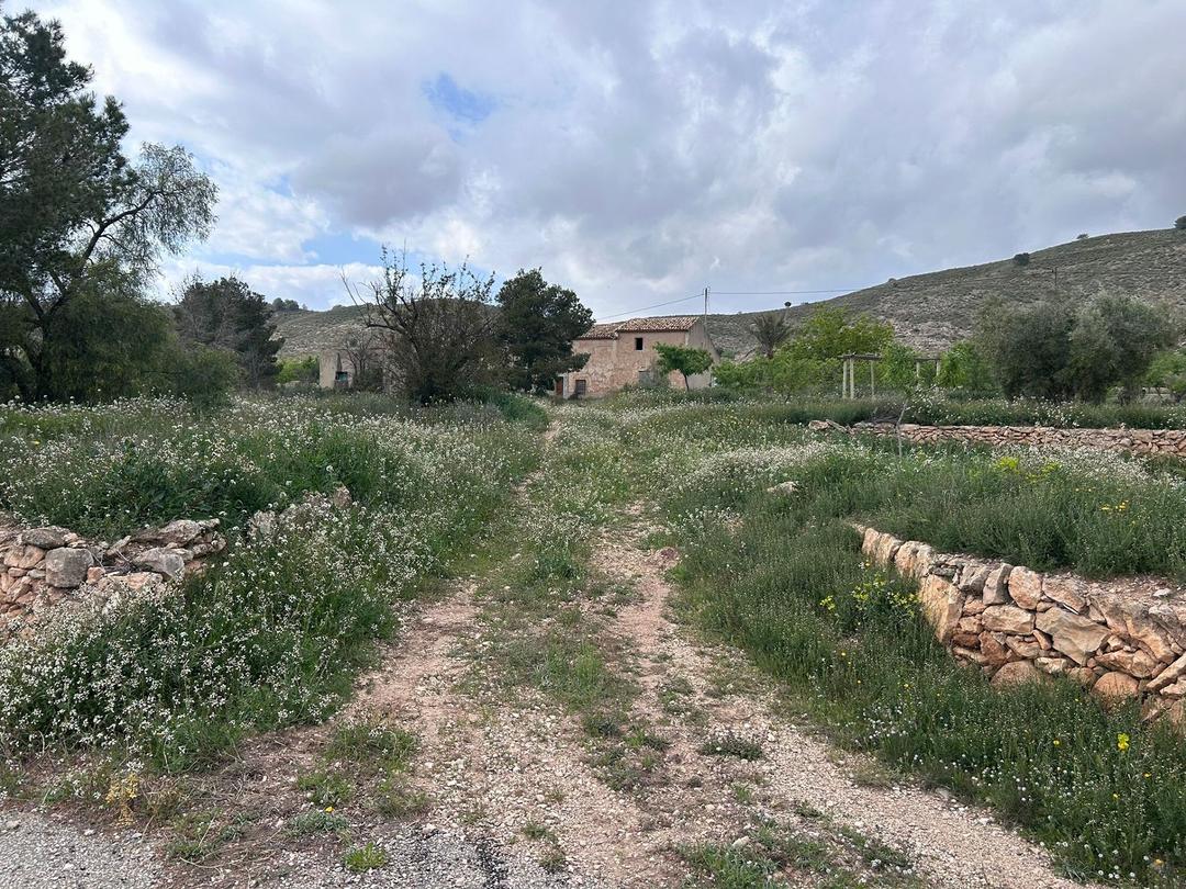 Property image 31
