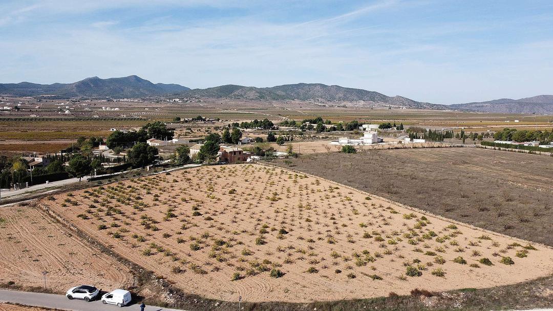 0 bedroom Land in Pinoso, Costa Blanca - Property IV2296
