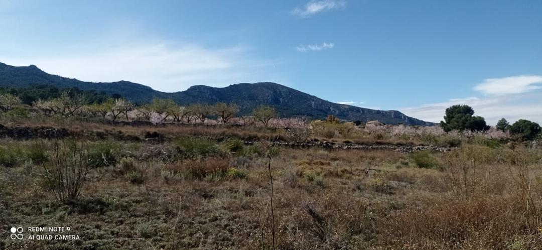 0 bedroom Land in La Romana, Costa Blanca - Property IV35