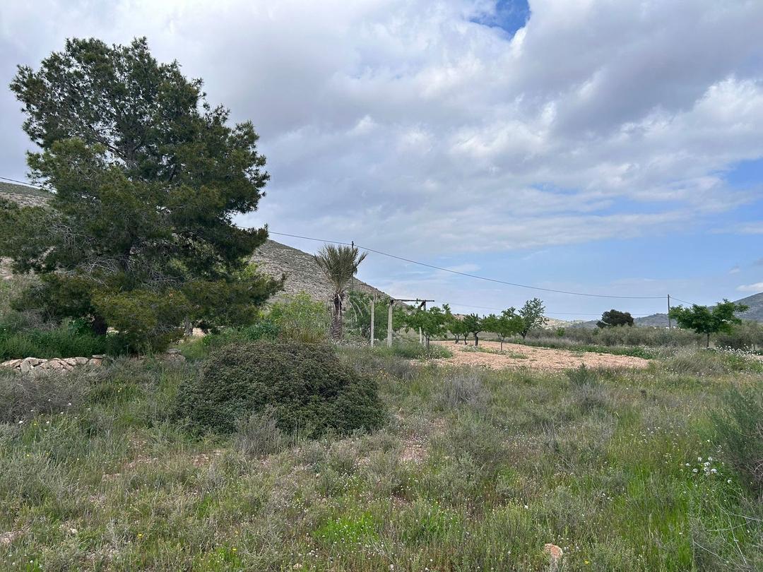 Property image 41