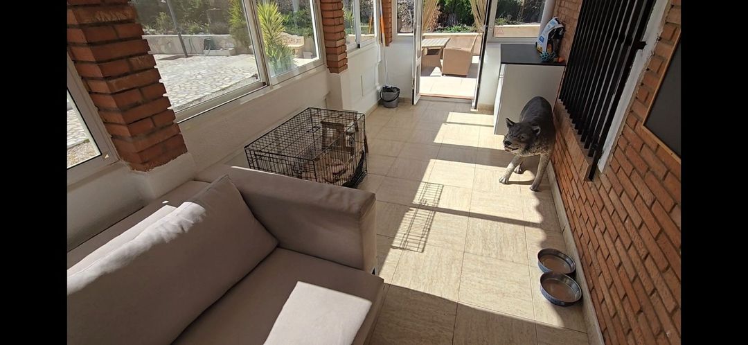 Property image 43