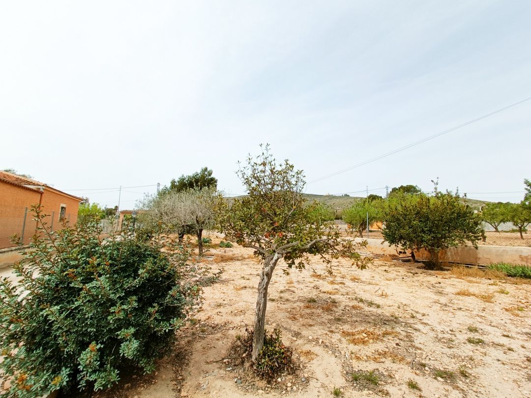 Property image 35