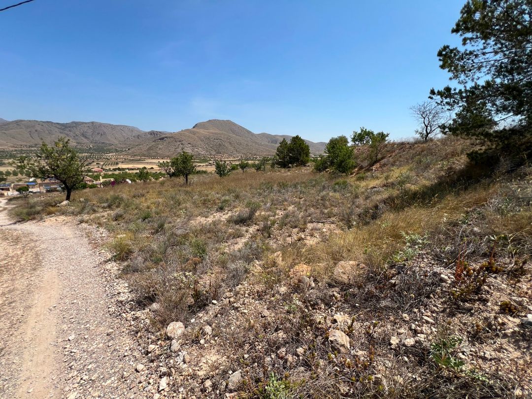 Property image 17