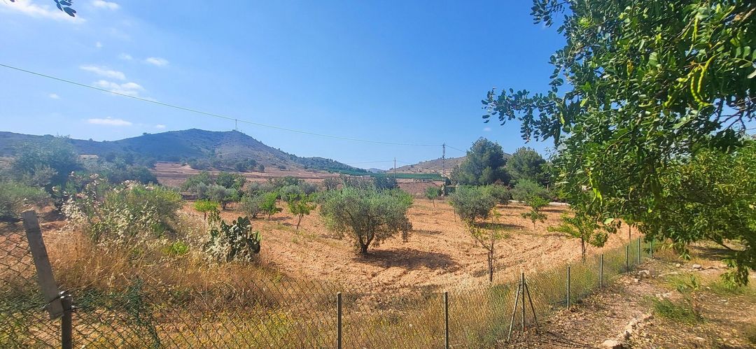 Property image 17
