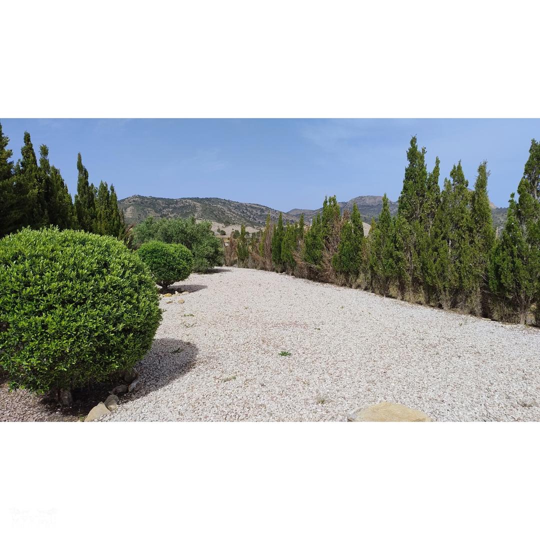 Property image 37