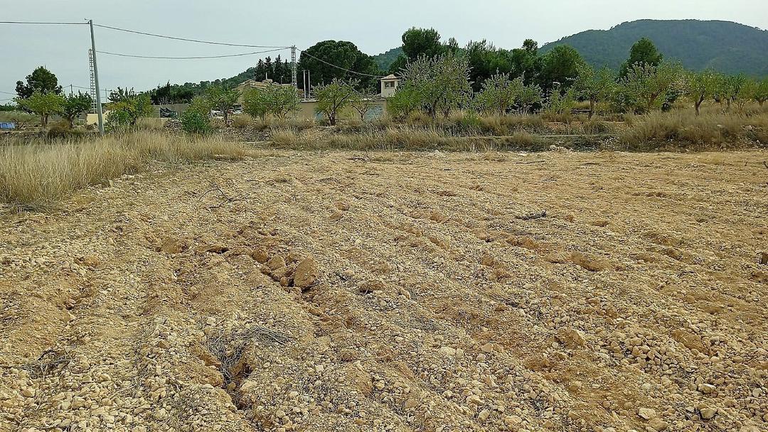 0 bedroom Land in Monovar, Costa Blanca - Property IV13739