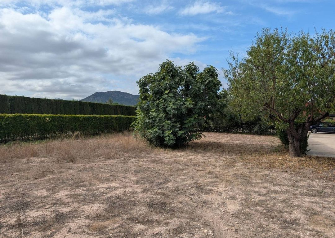 Property image 29