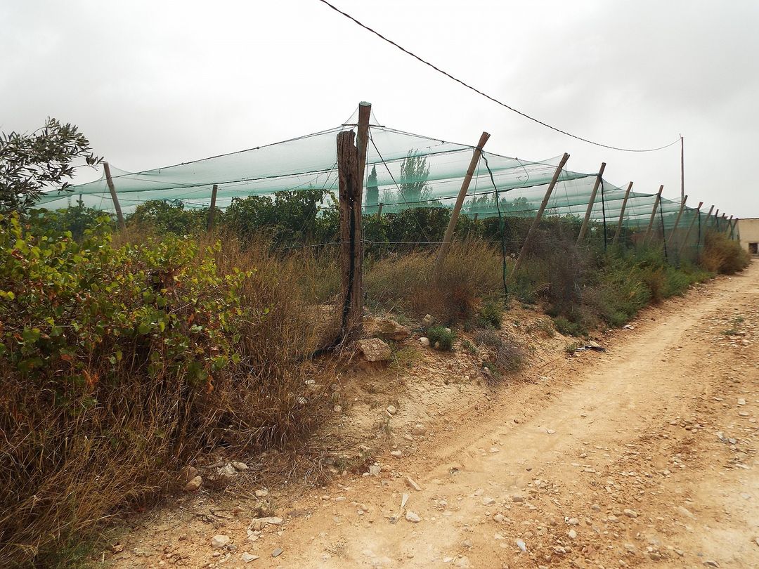Property image 18