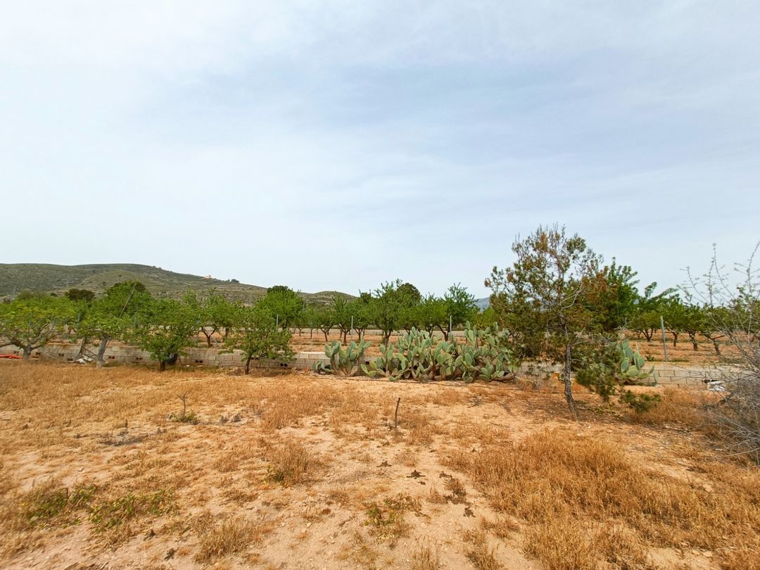 Property image 31