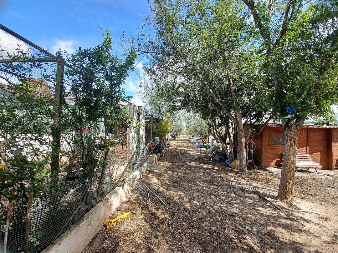 Property image 19