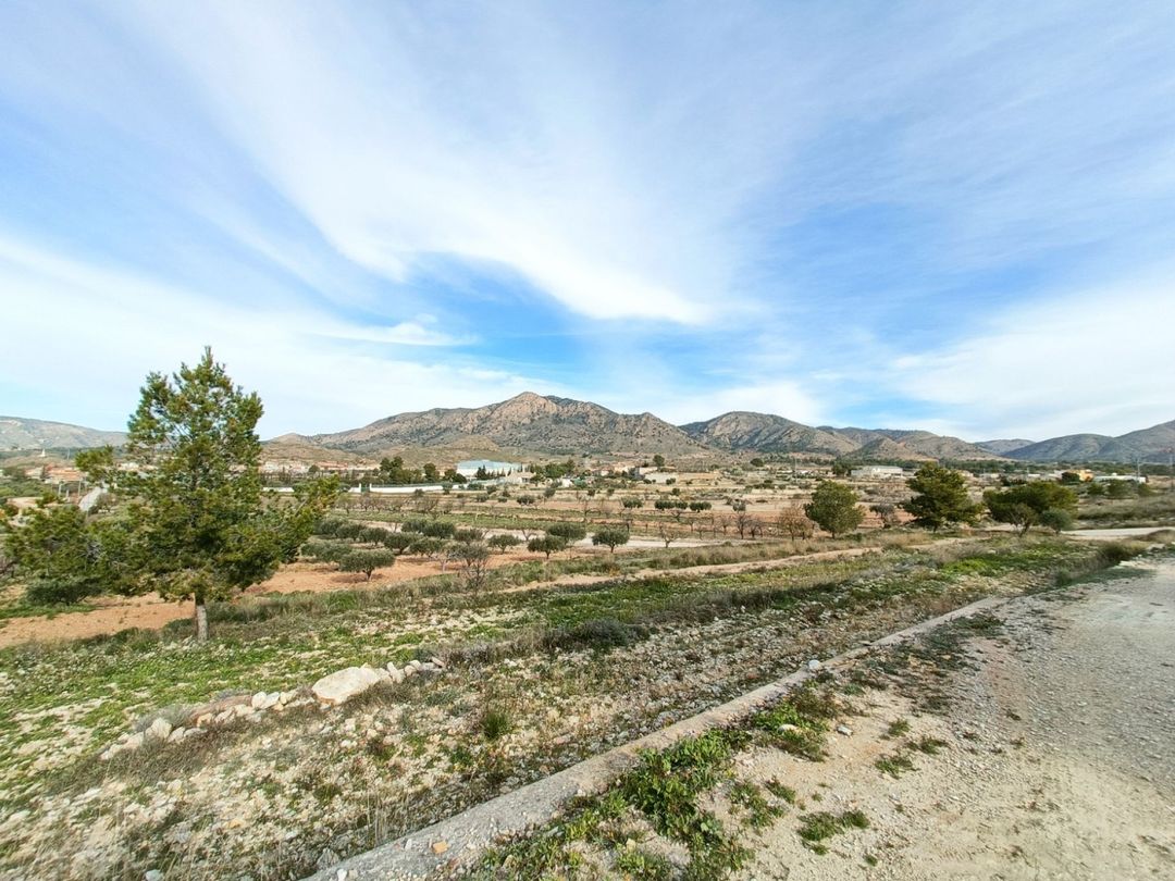 Property image 7