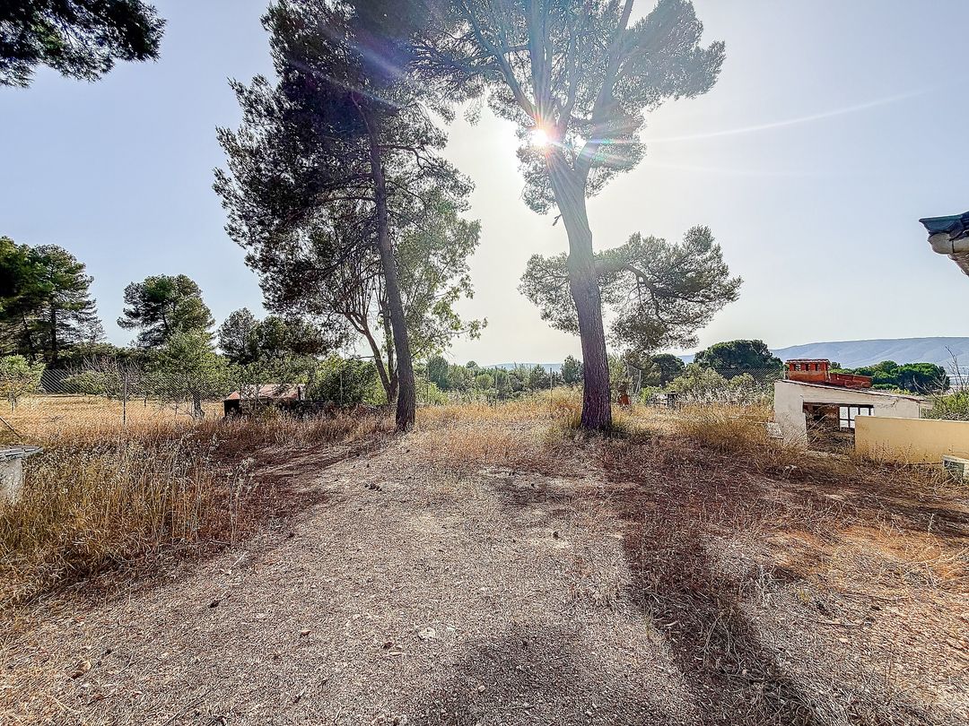 Property image 39