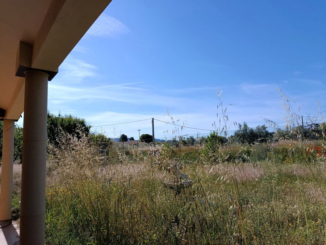 Property image 41