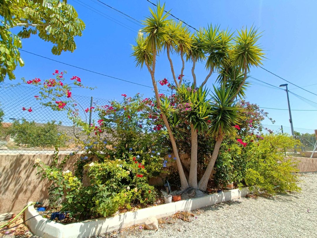 Property image 32