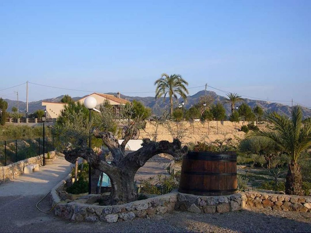 Property image 21