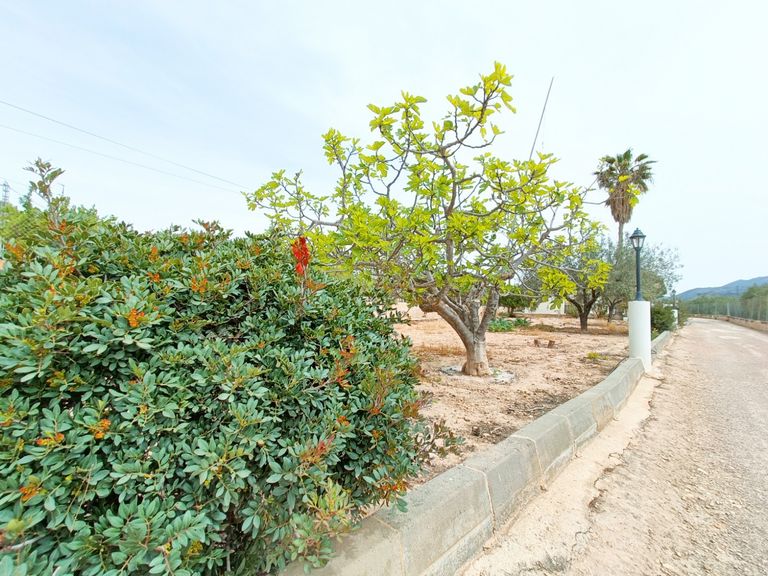 Property thumbnail 5