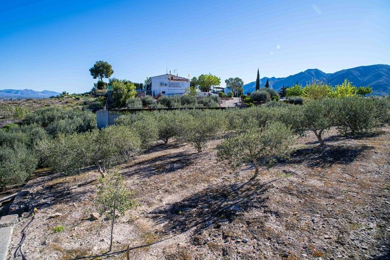 Property thumbnail 40