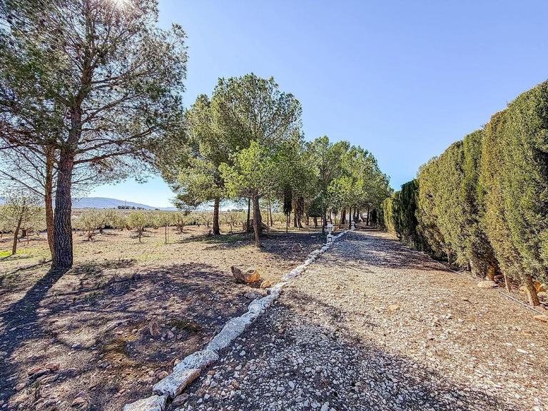 Property thumbnail 42