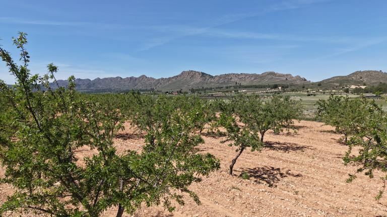 Property thumbnail 3