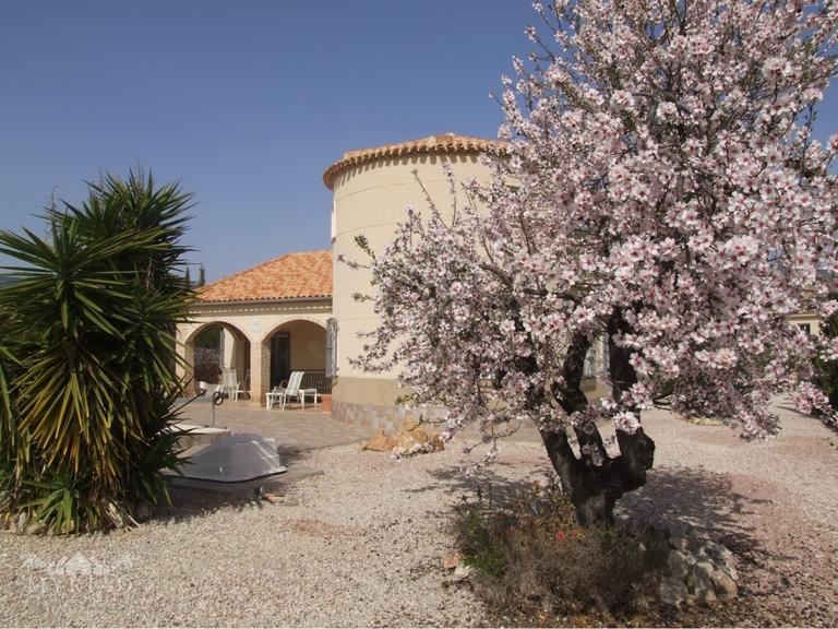 Property thumbnail 32