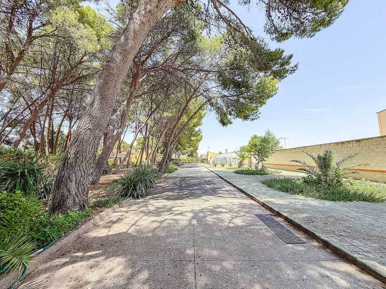Property thumbnail 14