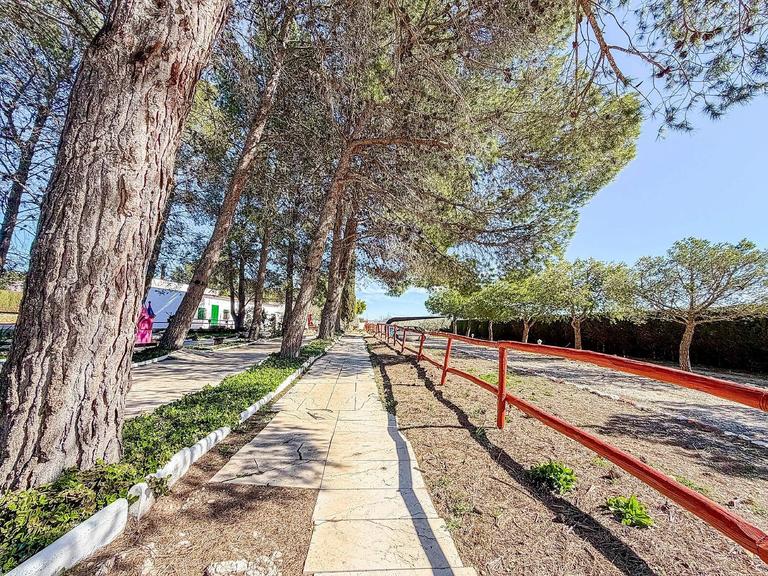 Property thumbnail 9