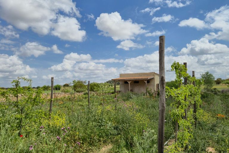 Property thumbnail 10