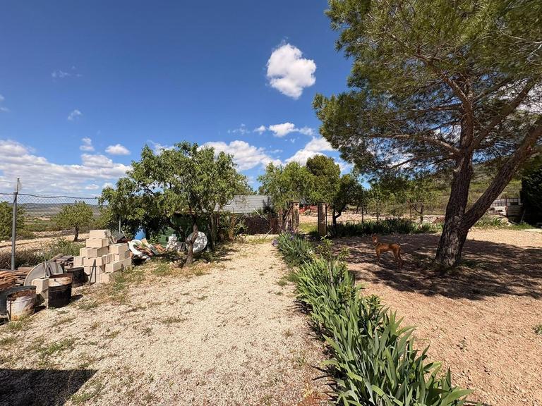 Property thumbnail 7