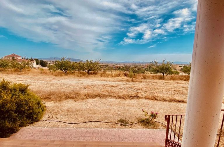 Property thumbnail 6