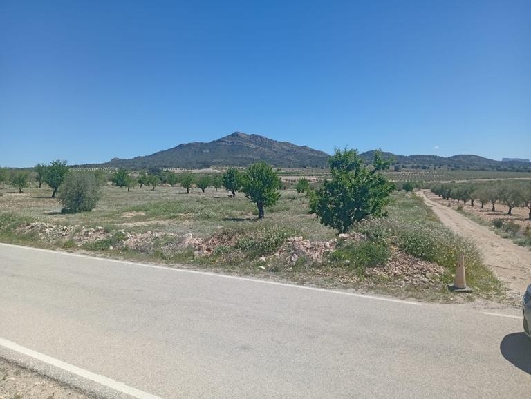 0 bedroom Land in Salinas, Costa Blanca - Property IV5426