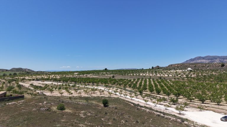 0 bedroom Land in Pinoso, Costa Blanca - Property IV049